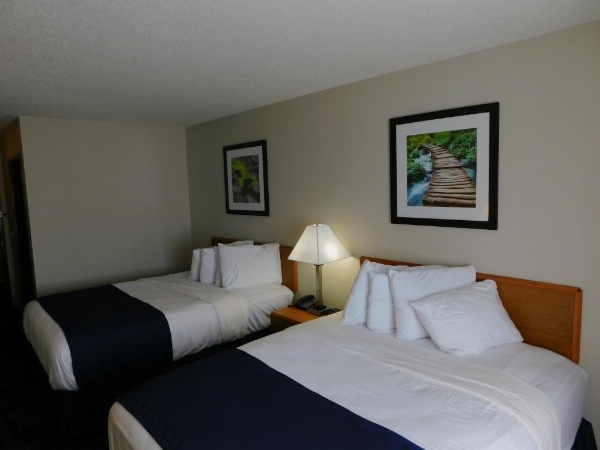 Northwoods Best Inn - Chetek image 12