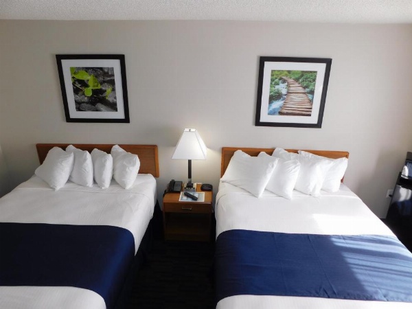 Northwoods Best Inn - Chetek image 9